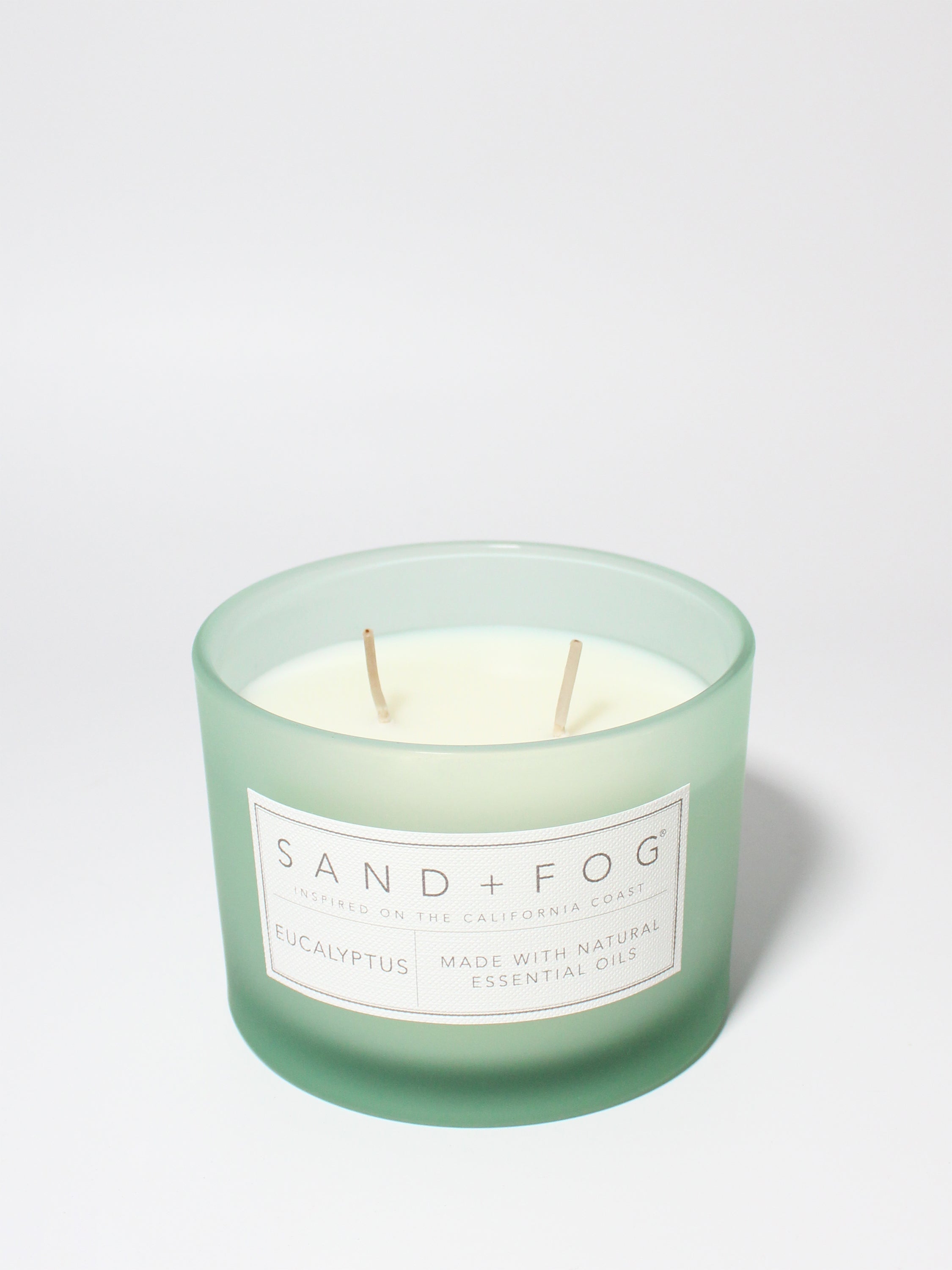 Eucalyptus 12 oz scented candle - Home Fragrance