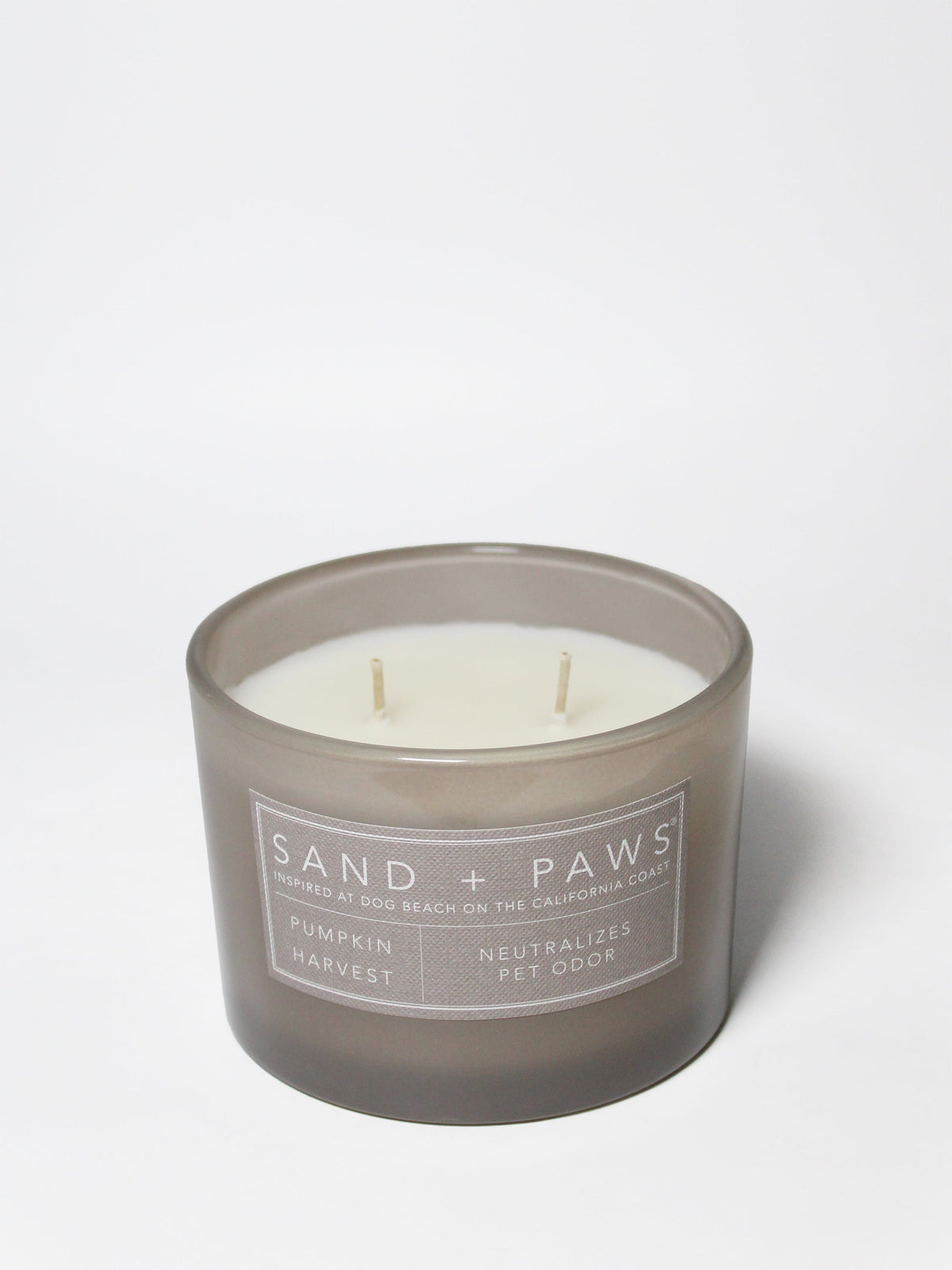 Sand + Paws Pumpkin Harvest 12 oz scented candle - Fine Fragrance