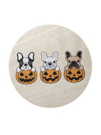 Sand + Paws Pumpkin Harvest 12 oz scented candle - Fine Fragrance