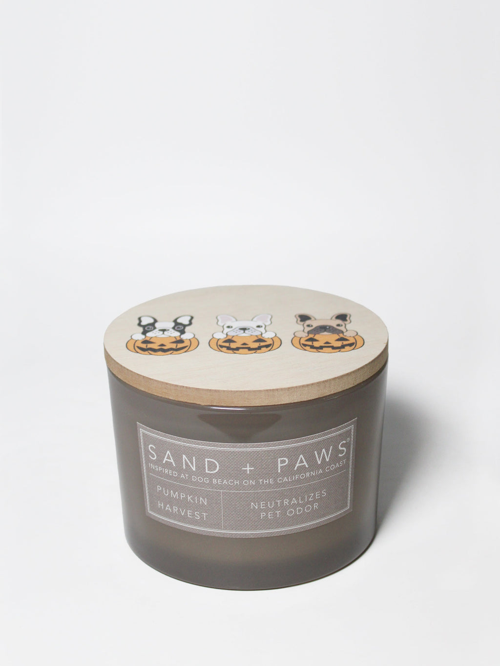 Sand + Paws Pumpkin Harvest 12 oz scented candle - Fine Fragrance