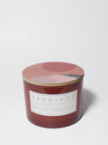 Sun-n-Fun 12 oz scented candle - Home Fragrance