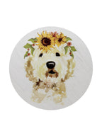 Sand + Paws Mango Tangerine 12 oz scented candle - Fine Fragrance
