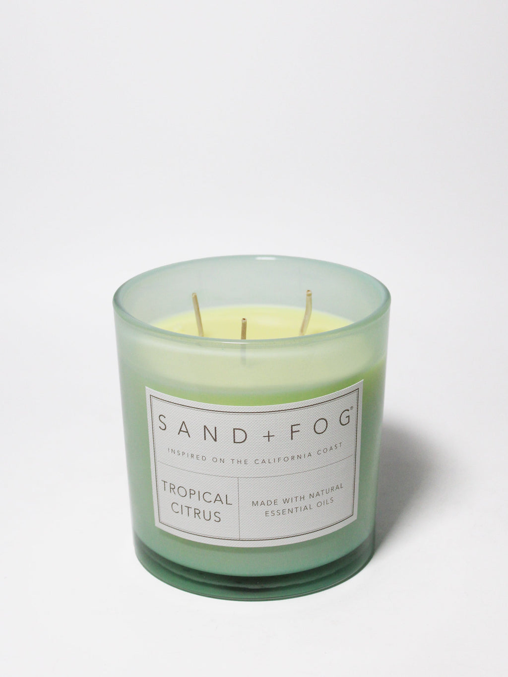 Tropical Citrus 21 oz scented candle - Home Fragrance