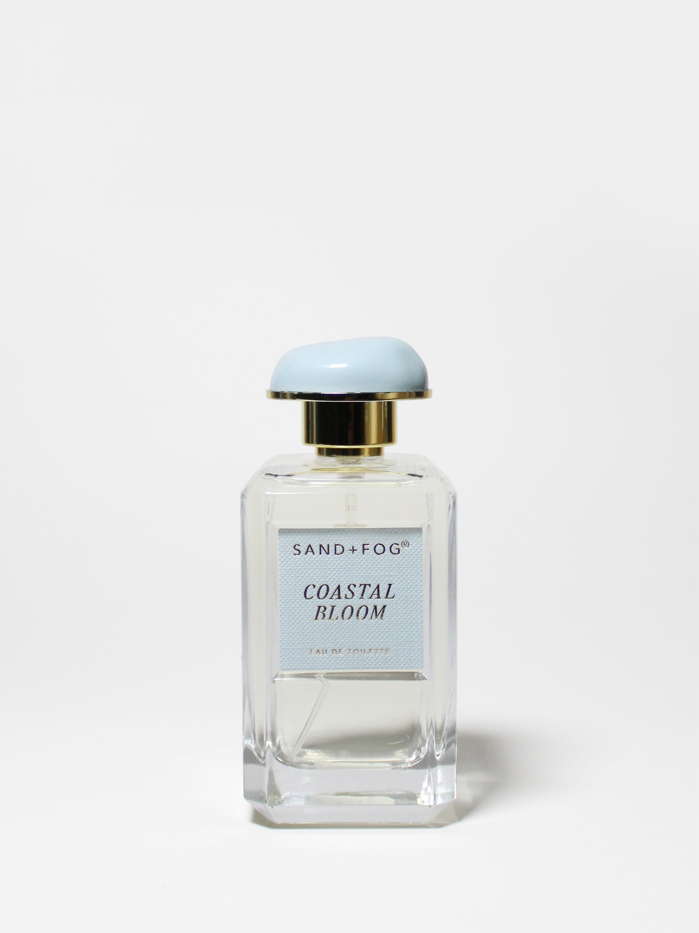 Coastal Bloom 100 ml Eau de Toilette - Fine Fragrance