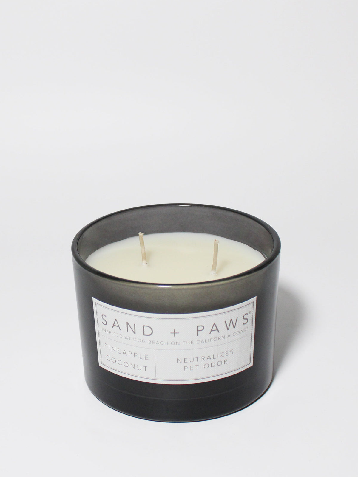 Sand + Paws Pineapple Coconut 12 oz scented candle - Fine Fragrance