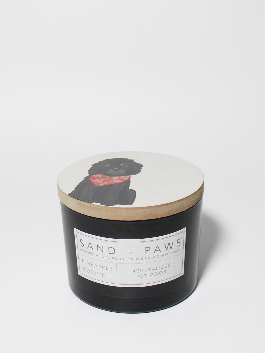 Sand + Paws Pineapple Coconut 12 oz scented candle - Fine Fragrance