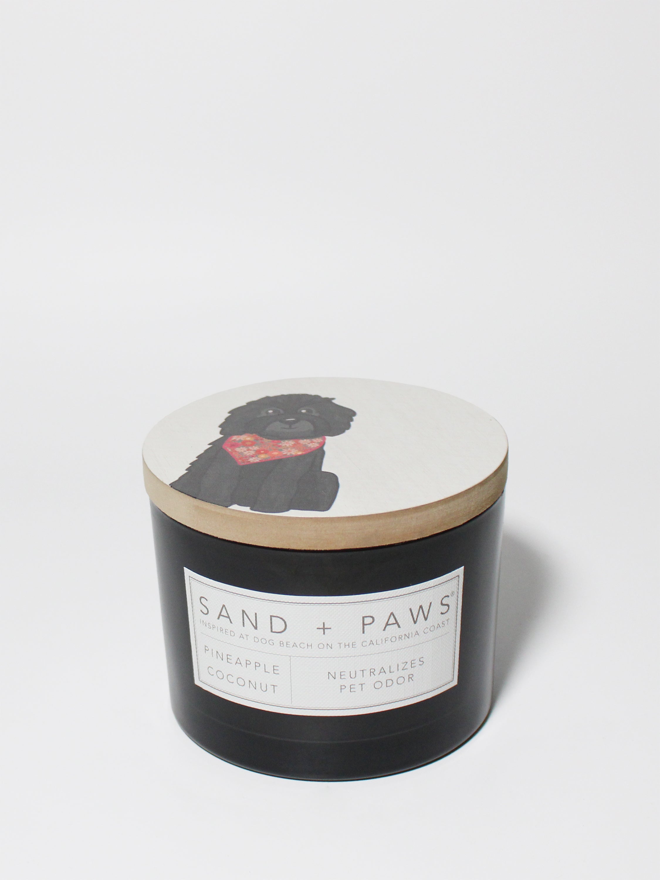 Sand + Paws Pineapple Coconut 12 oz scented candle - Fine Fragrance