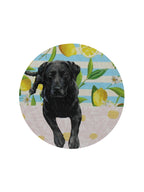 Sand + Paws Tropical Citrus 12 oz scented candle - Fine Fragrance