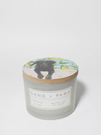 Sand + Paws Tropical Citrus 12 oz scented candle - Fine Fragrance