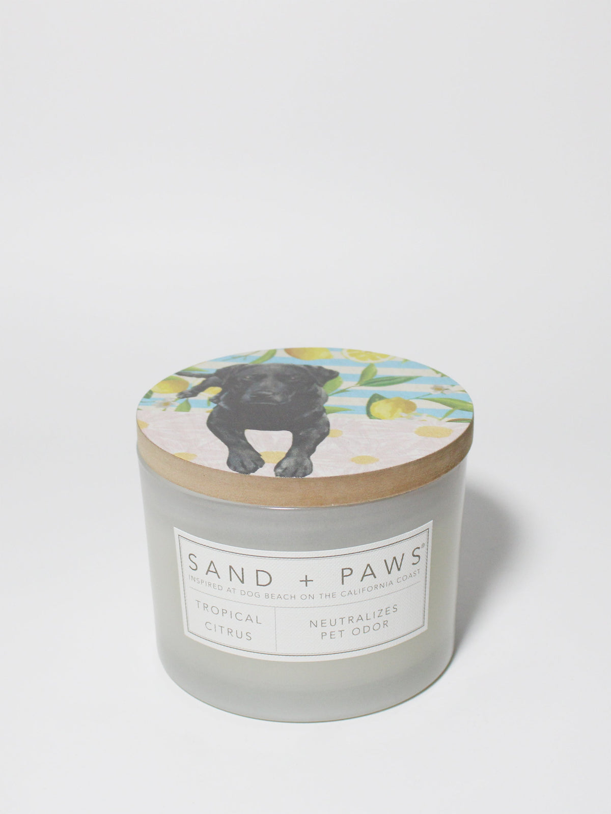 Sand + Paws Tropical Citrus 12 oz scented candle - Fine Fragrance