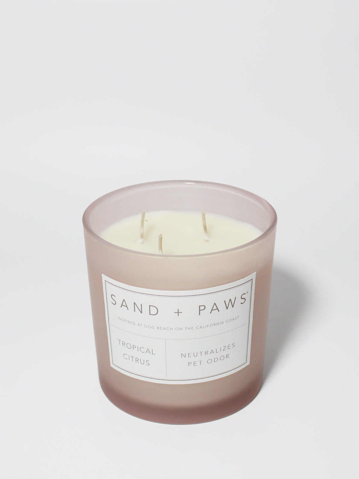 Sand + Paws Tropical Citrus 21 oz scented candle - Fine Fragrance