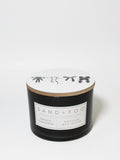 Mango Tangerine 12 oz scented candle - Home Fragrance