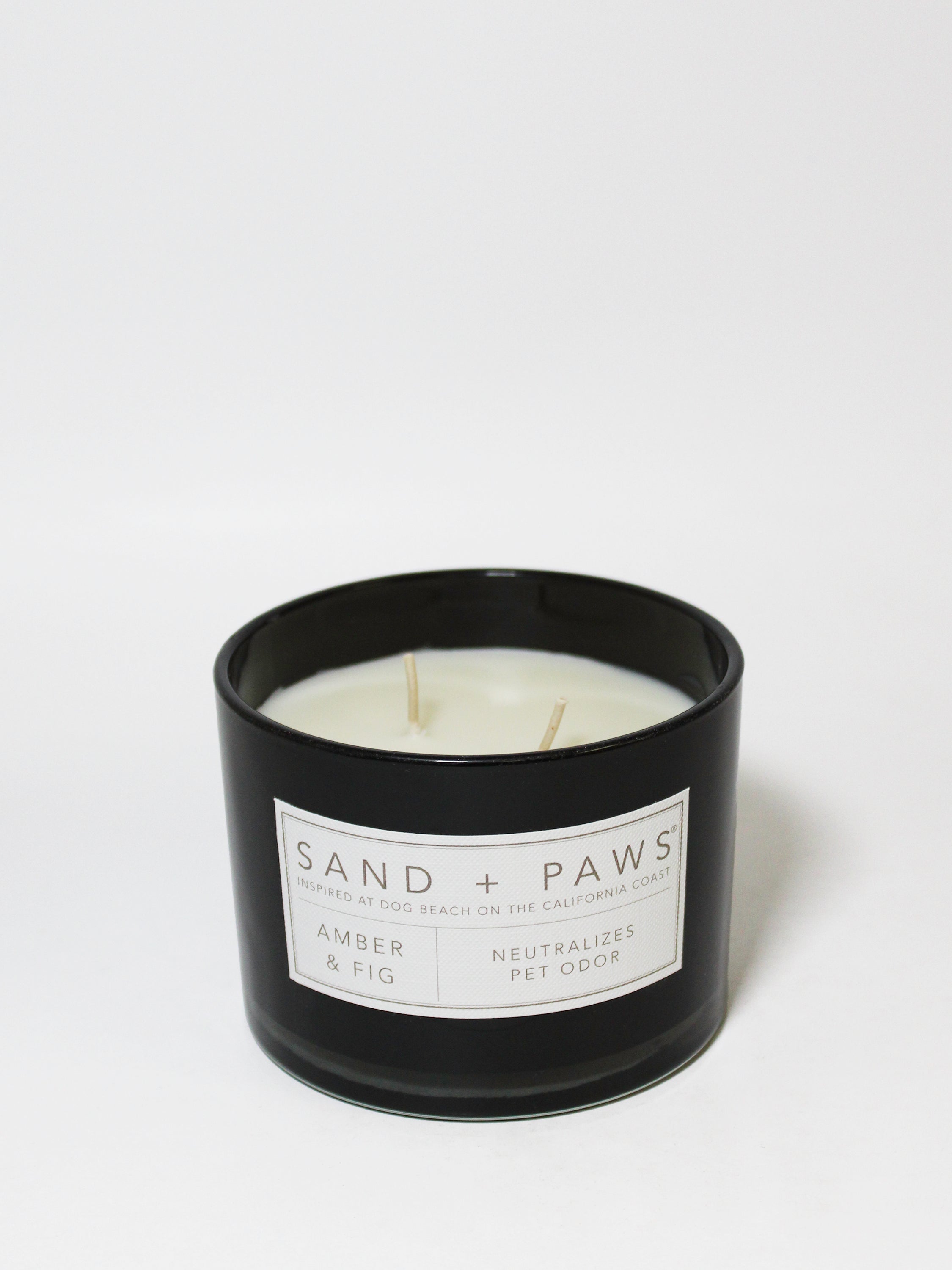 Sand + Paws Amber & Fig 12 oz scented candle - Fine Fragrance