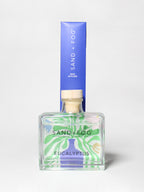Eucalyptus 100 ml Reed Diffuser - Daily Favorite