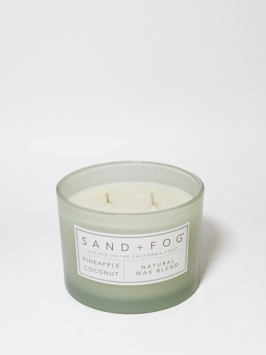 Pineapple Coconut 12 oz scented candle - Home Fragrance
