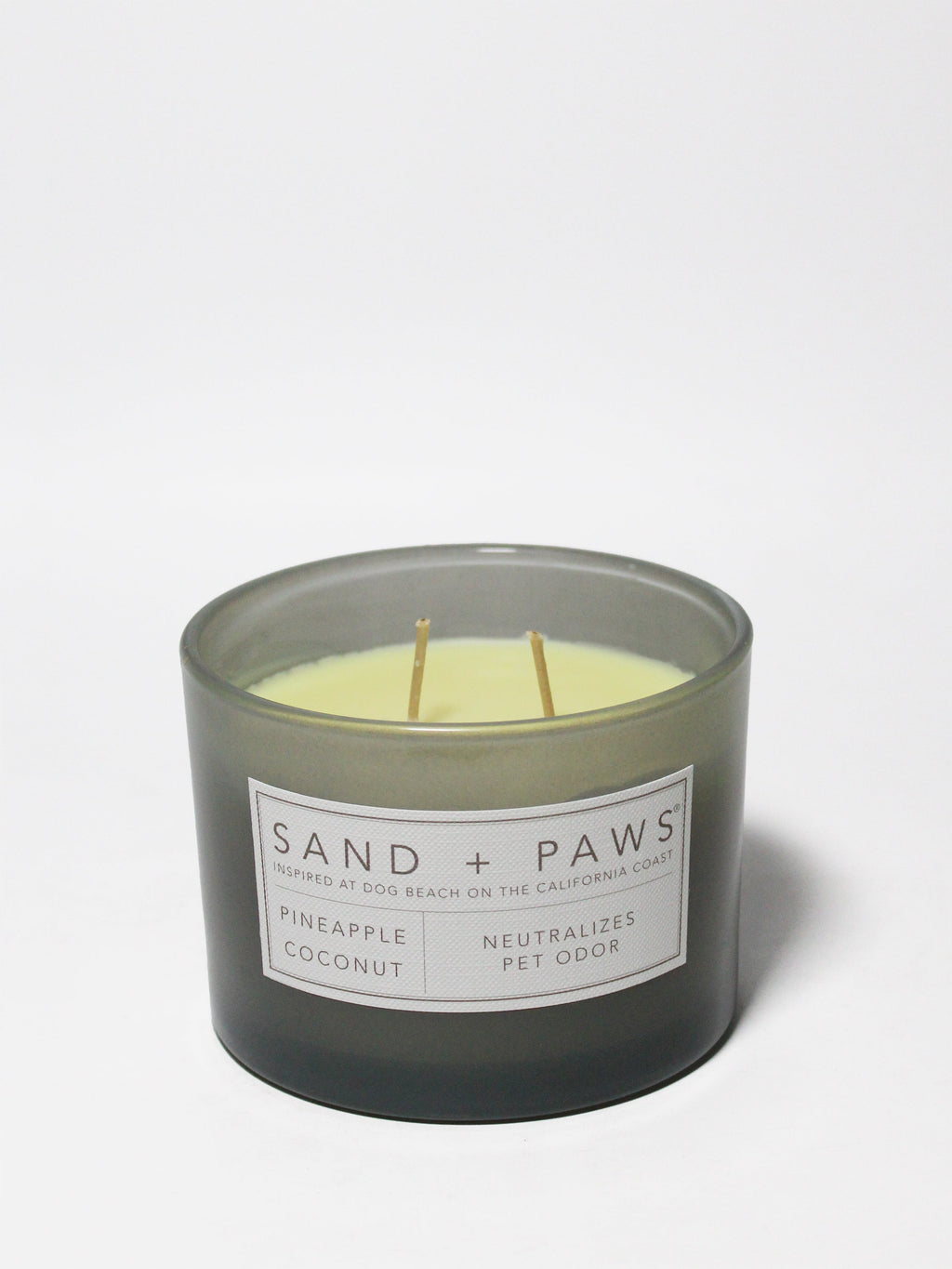 Sand + Paws Pineapple Coconut 12 oz scented candle - Fine Fragrance