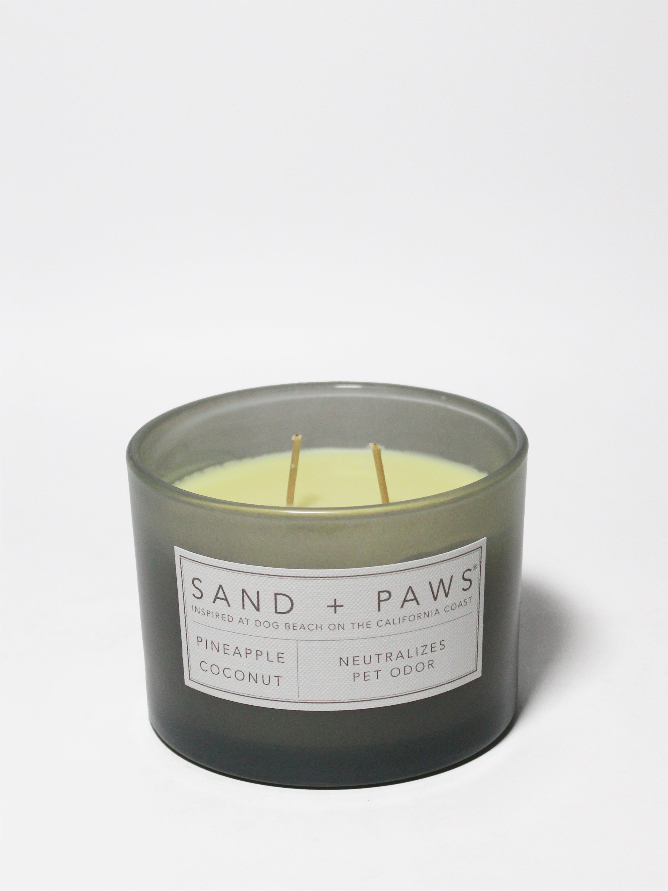 Sand + Paws Pineapple Coconut 12 oz scented candle - Fine Fragrance
