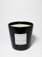 Tropical Citrus Natural Home 31 oz scented candle - Fine Fragrance