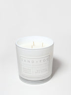 Whipped Vanilla Pumpkin 21 oz scented candle - Home Fragrance