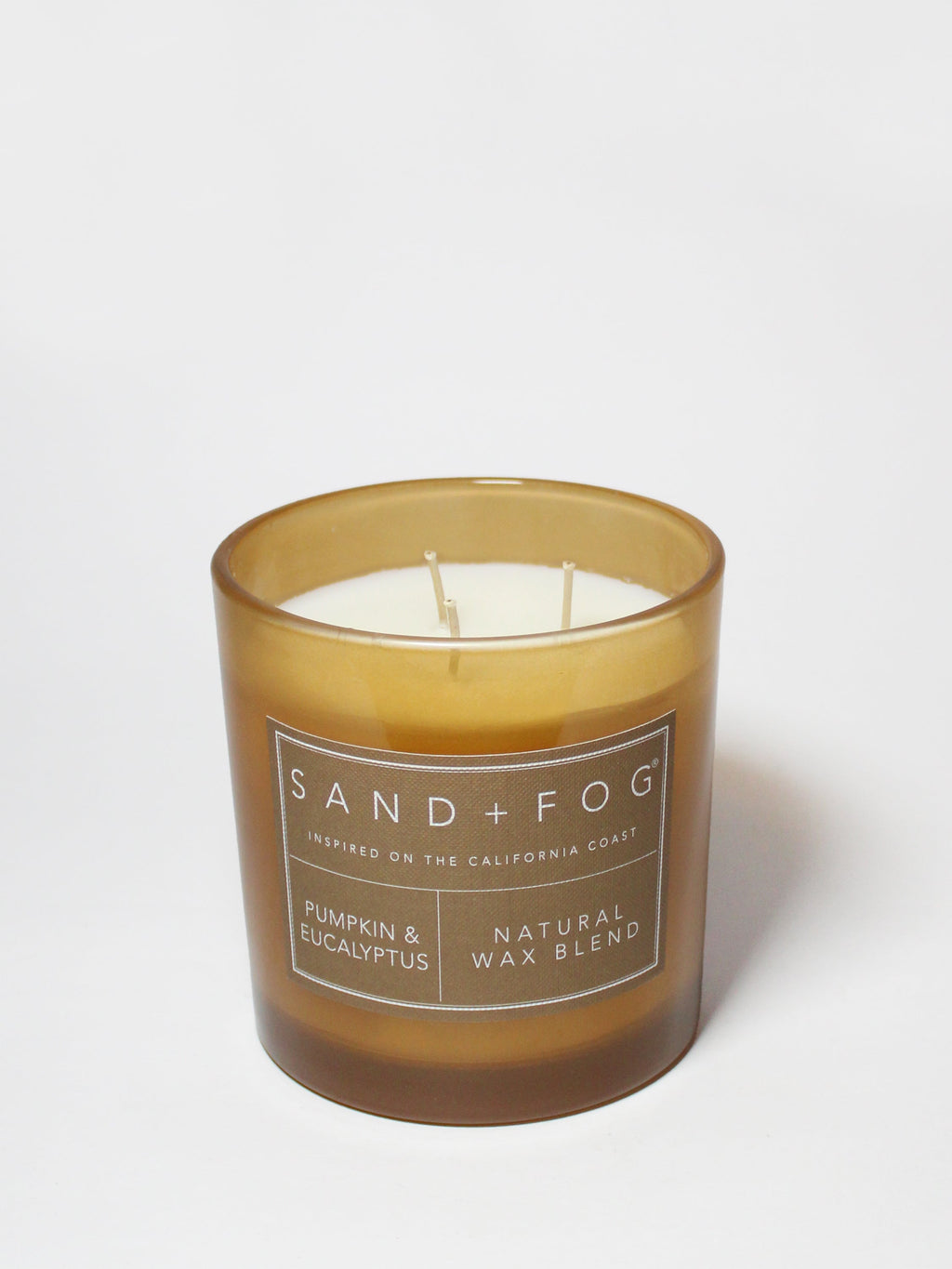 Pumpkin & Eucalyptus 21 oz scented candle - Home Fragrance