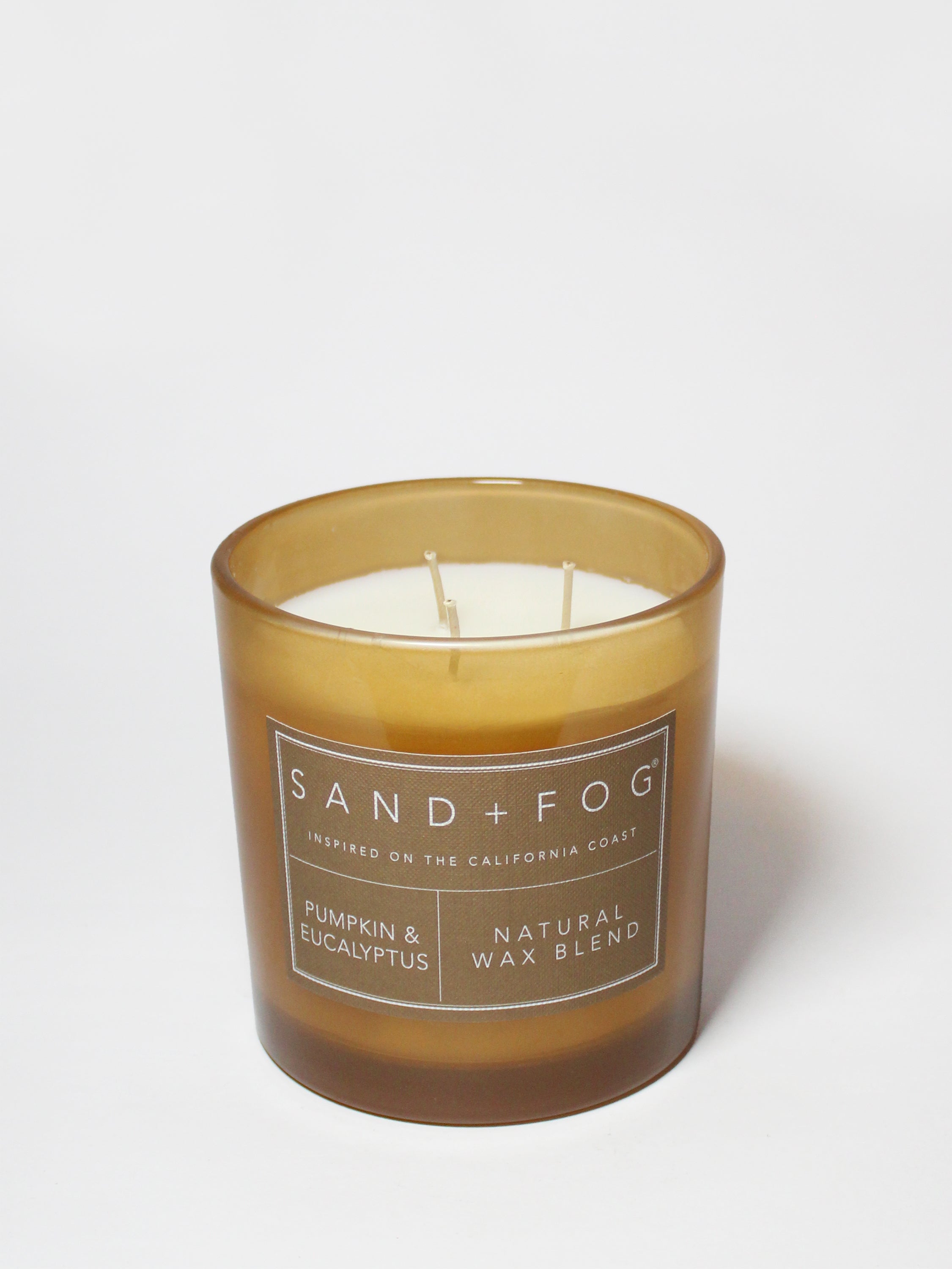 Pumpkin & Eucalyptus 21 oz scented candle - Home Fragrance