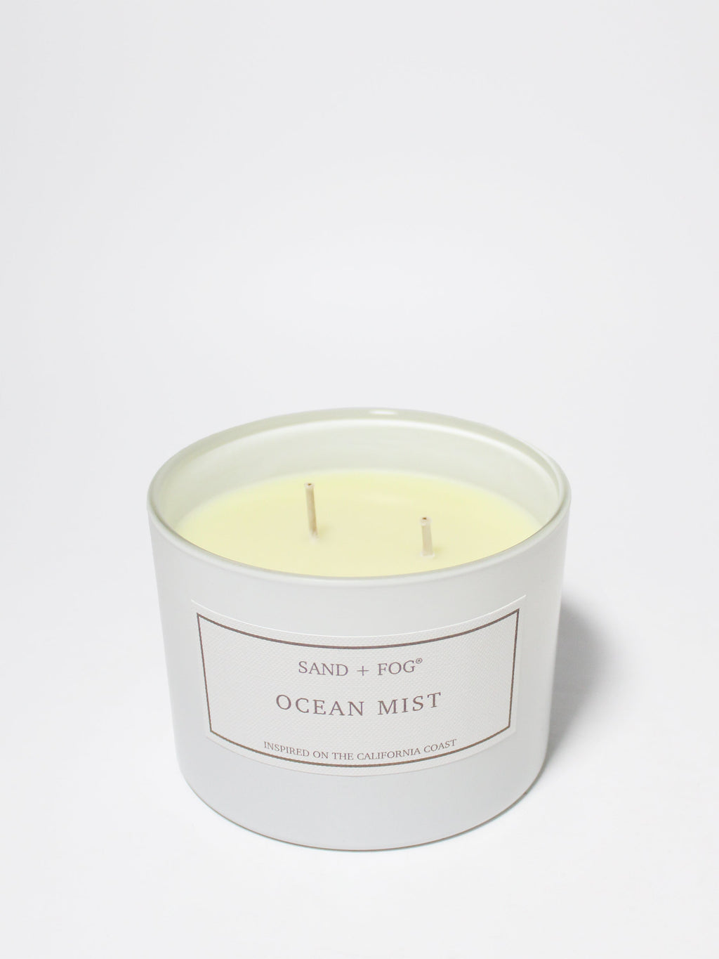 Ocean Mist 12 oz scented candle - Home Fragrance