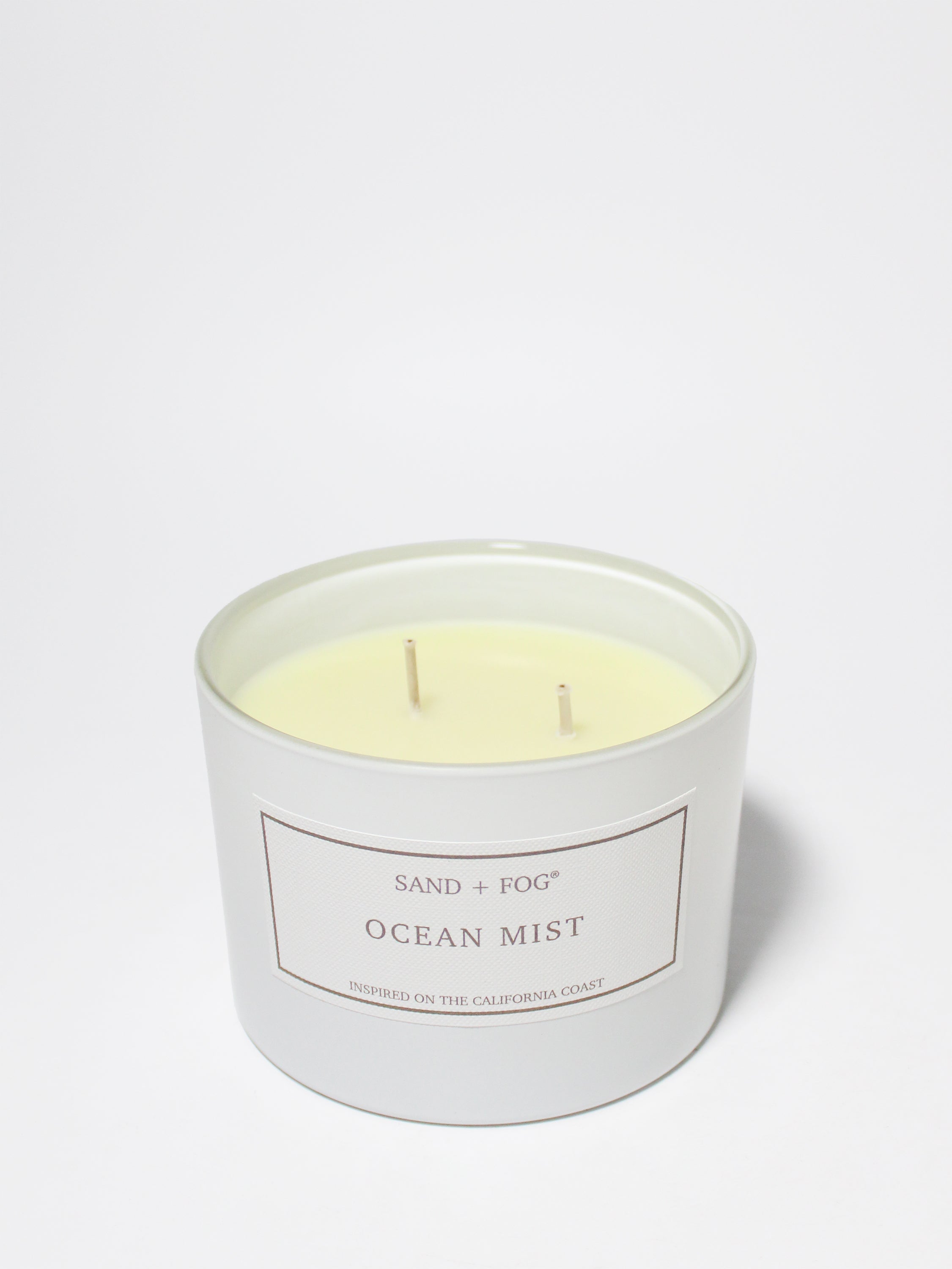 Ocean Mist 12 oz scented candle - Home Fragrance