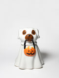 Sand + Paws Jack-o'-Lantern 11 oz scented candle - Fine Fragrance