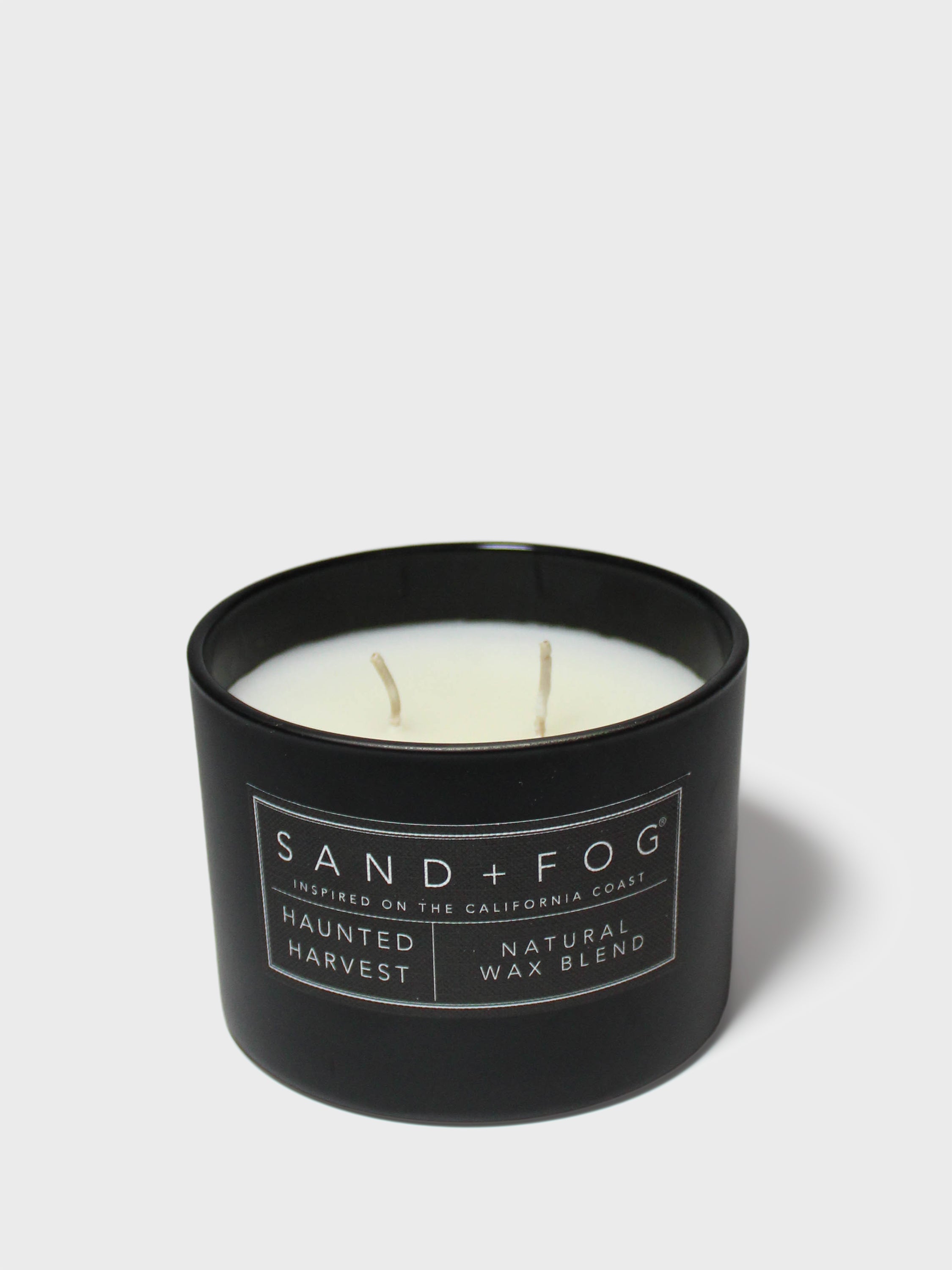 Haunted Harvest 12 oz scented candle - Home Fragrance