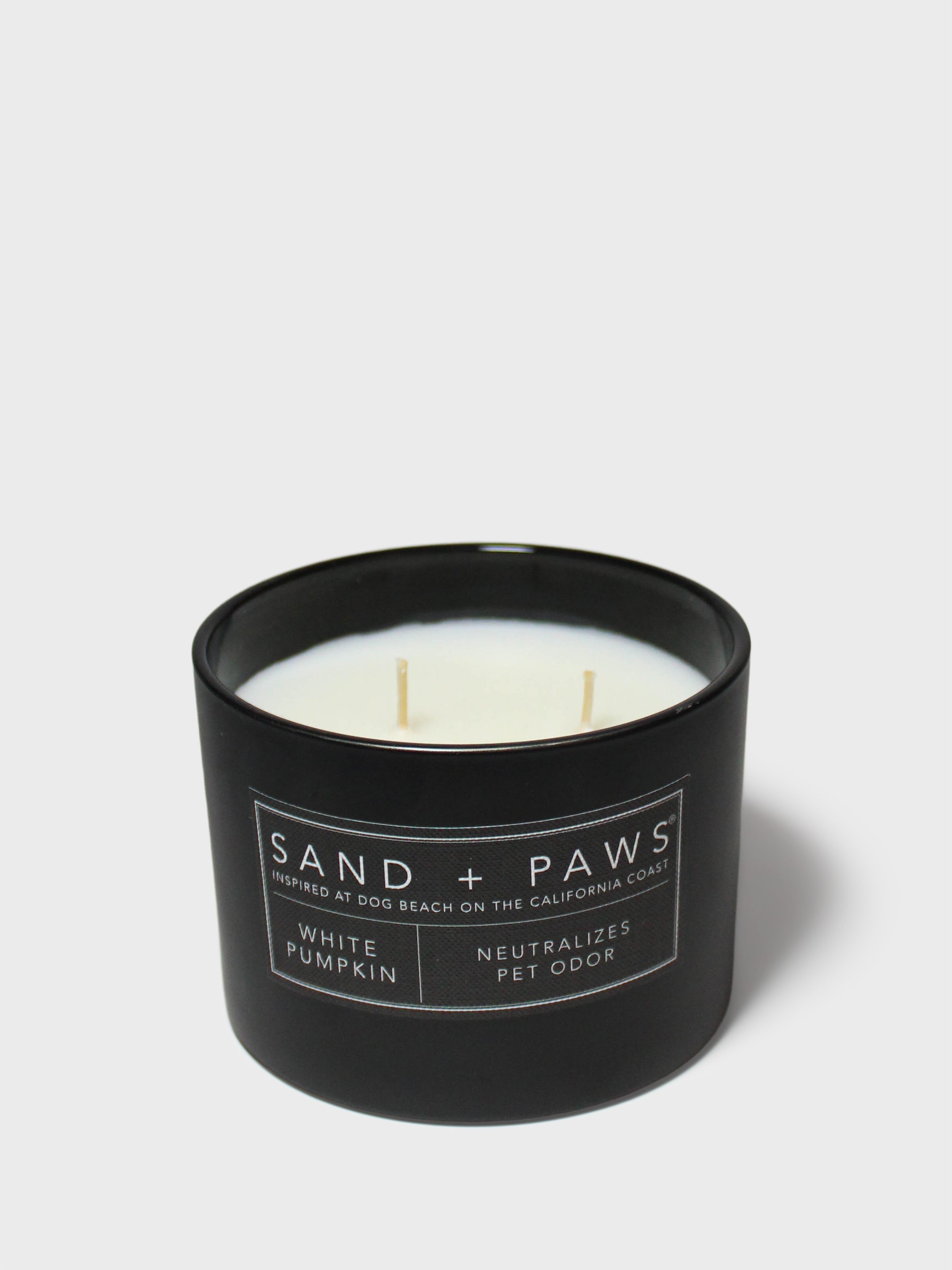 Sand + Paws White Pumpkin 12 oz scented candle - Fine Fragrance