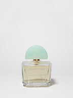 Vanilla & Amber 100 ml Eau de Toilette - Fine Fragrance