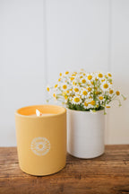 Sun Washed Citrus 12 oz scented candle - Home Fragrance