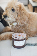 Sand + Paws Amber & Fig 12 oz scented candle - Fine Fragrance
