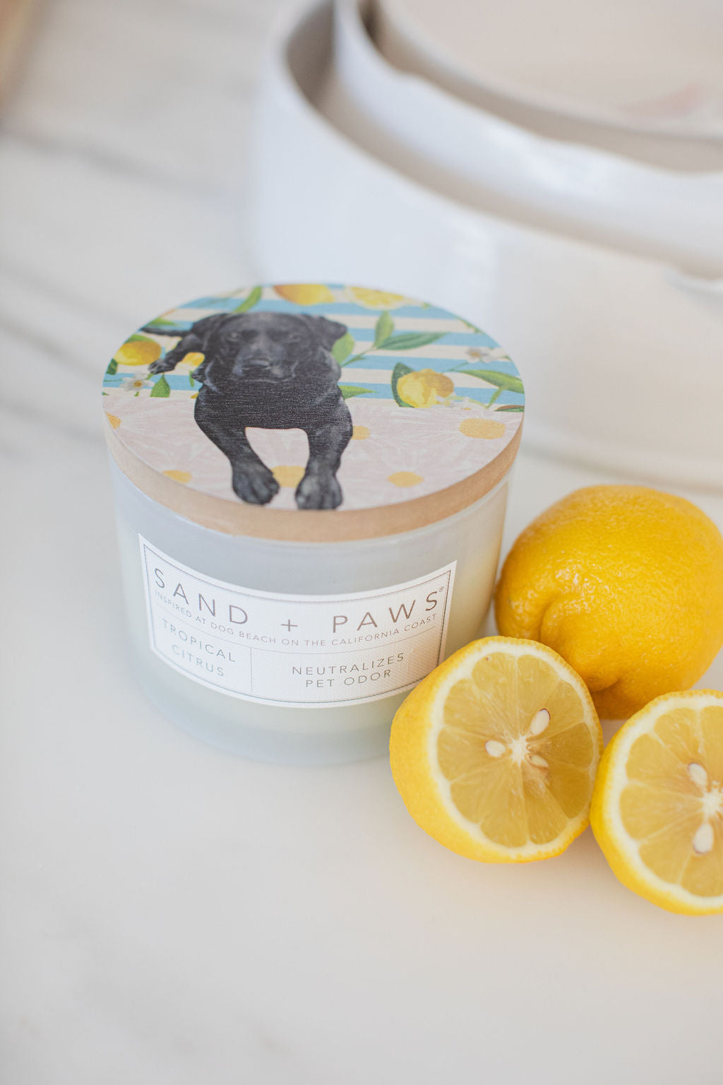 Sand + Paws Tropical Citrus 12 oz scented candle - Fine Fragrance