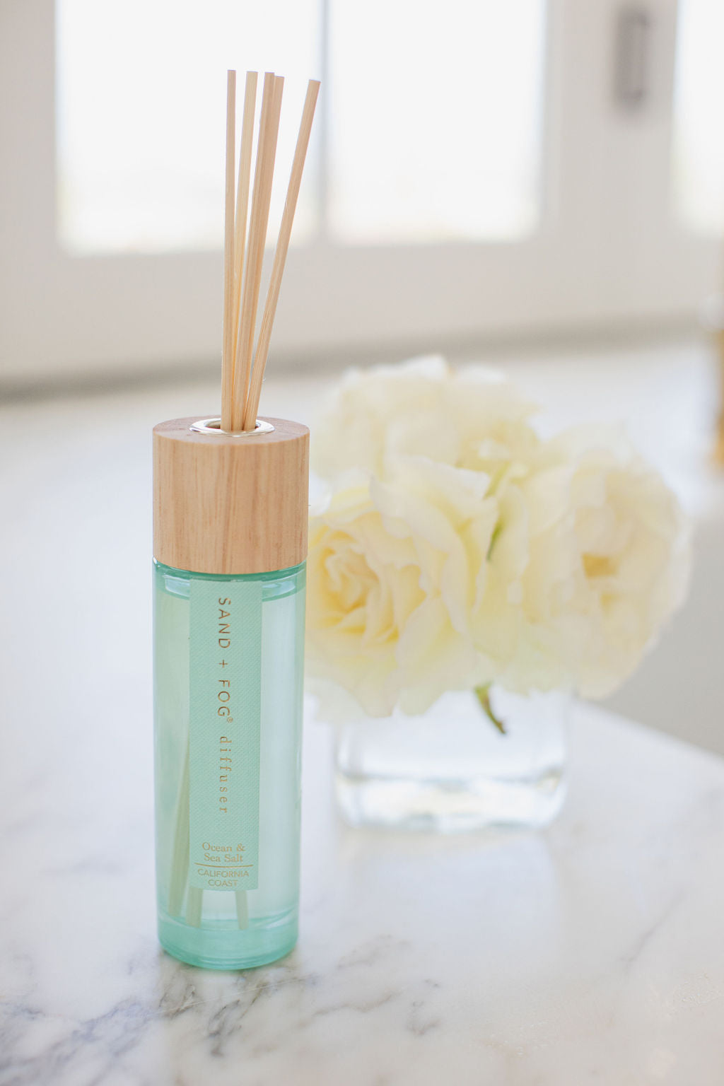 Ocean & Sea Salt 100 ml Reed Diffuser - Daily Favorite