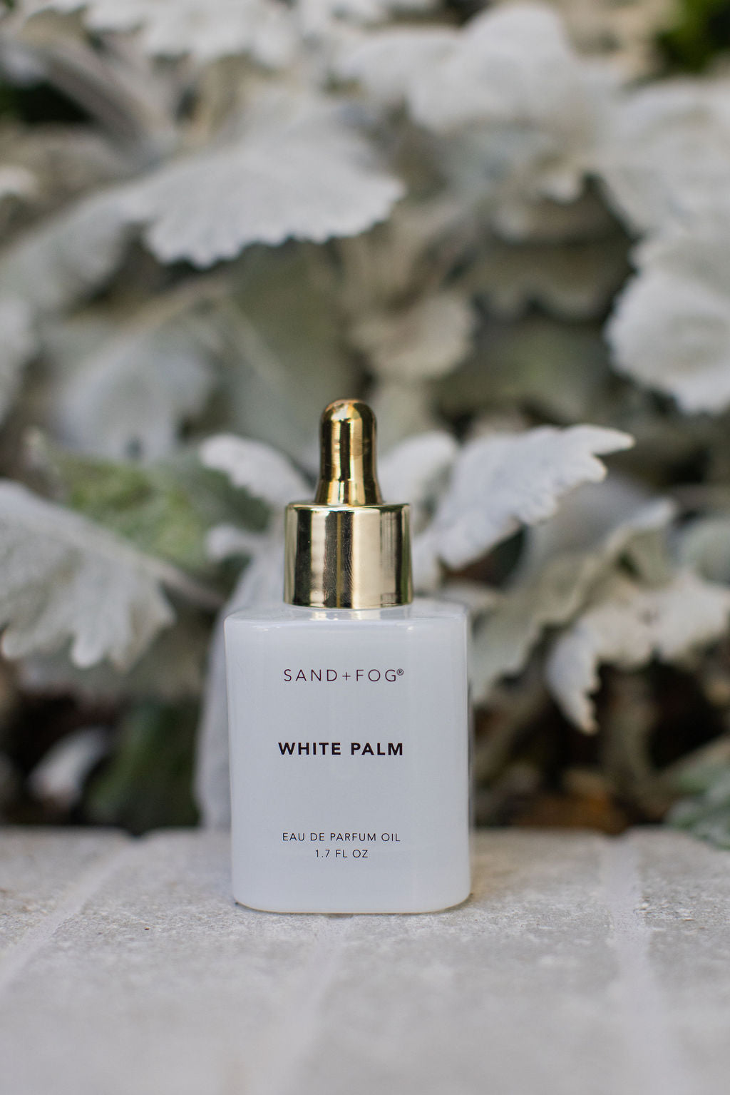 White Palm 50 ml Perfume Oil Dropper - Fine Fragrance