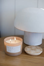 Island Orchid 12 oz scented candle - Home Fragrance