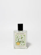 Spring Morning 50ml Perfume Oil Rollerball - Fine Fragrance