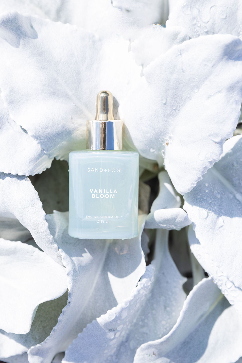 Vanilla Bloom 50 ml Perfume Oil Dropper - Fine Fragrance