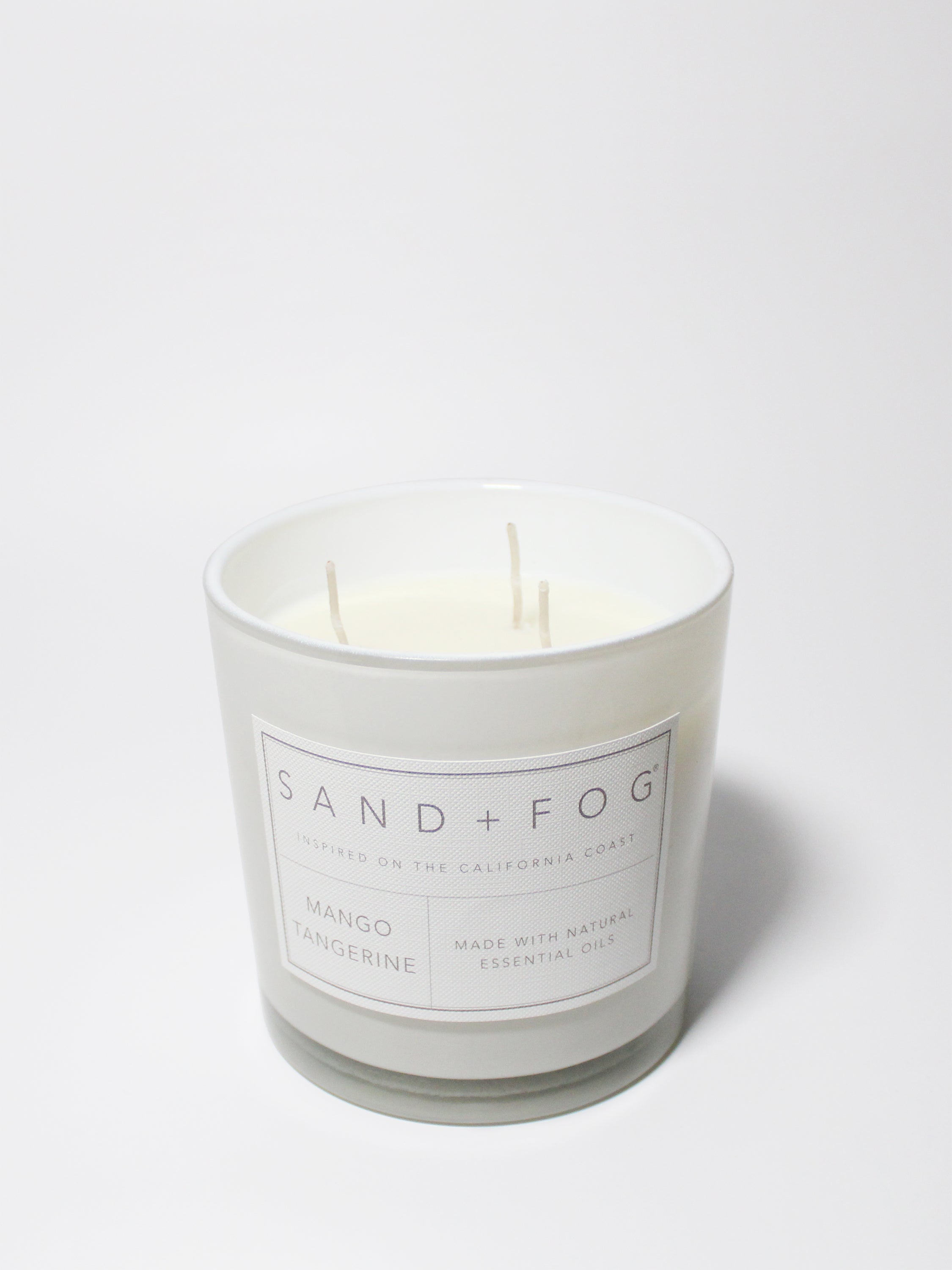 Mango Tangerine 21 oz scented candle - Home Fragrance