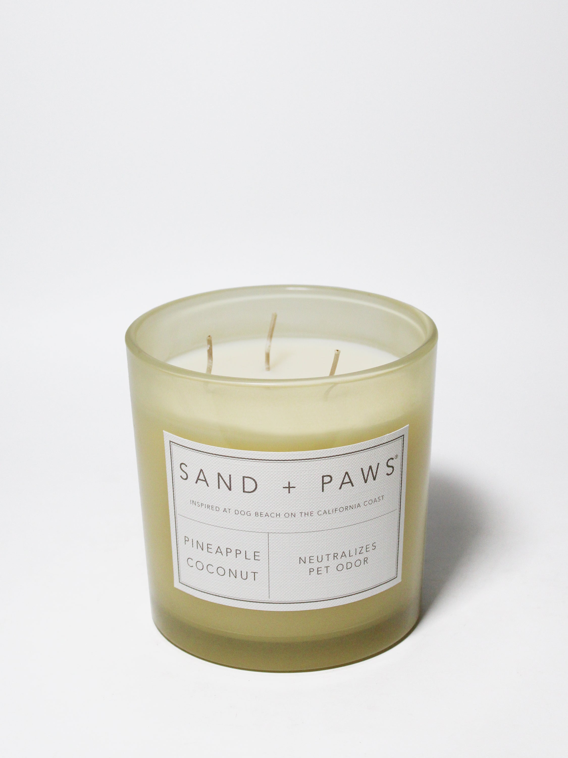 Sand + Paws Pineapple Coconut 21 oz scented candle - Fine Fragrance