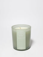 Eucalyptus 10 oz scented candle - Home Fragrance