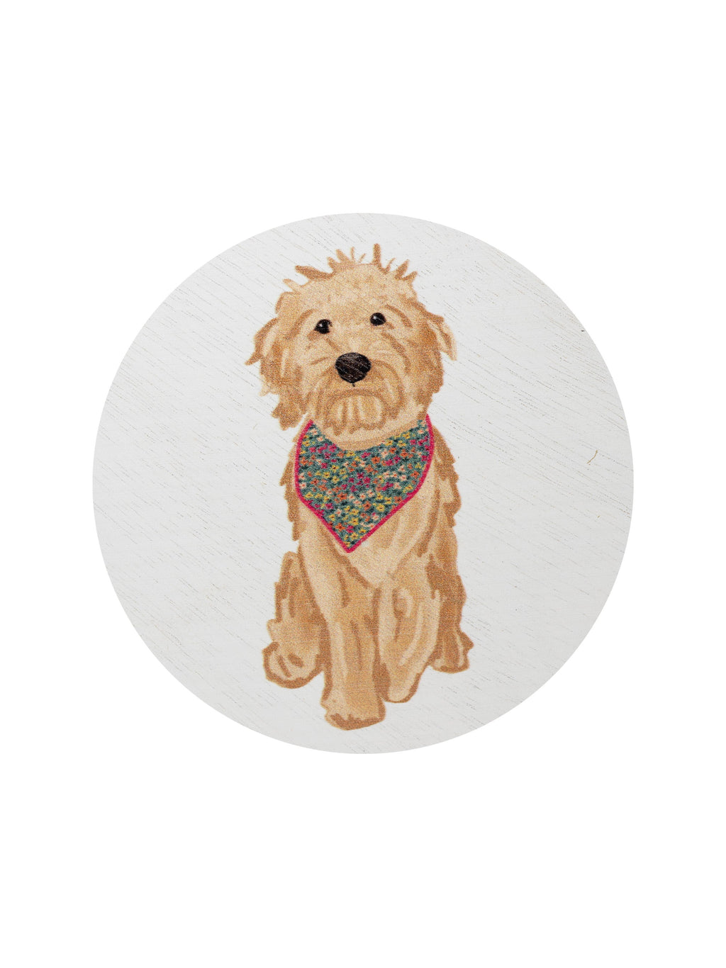 Sand + Paws Laundry Day 12 oz scented candle - Fine Fragrance