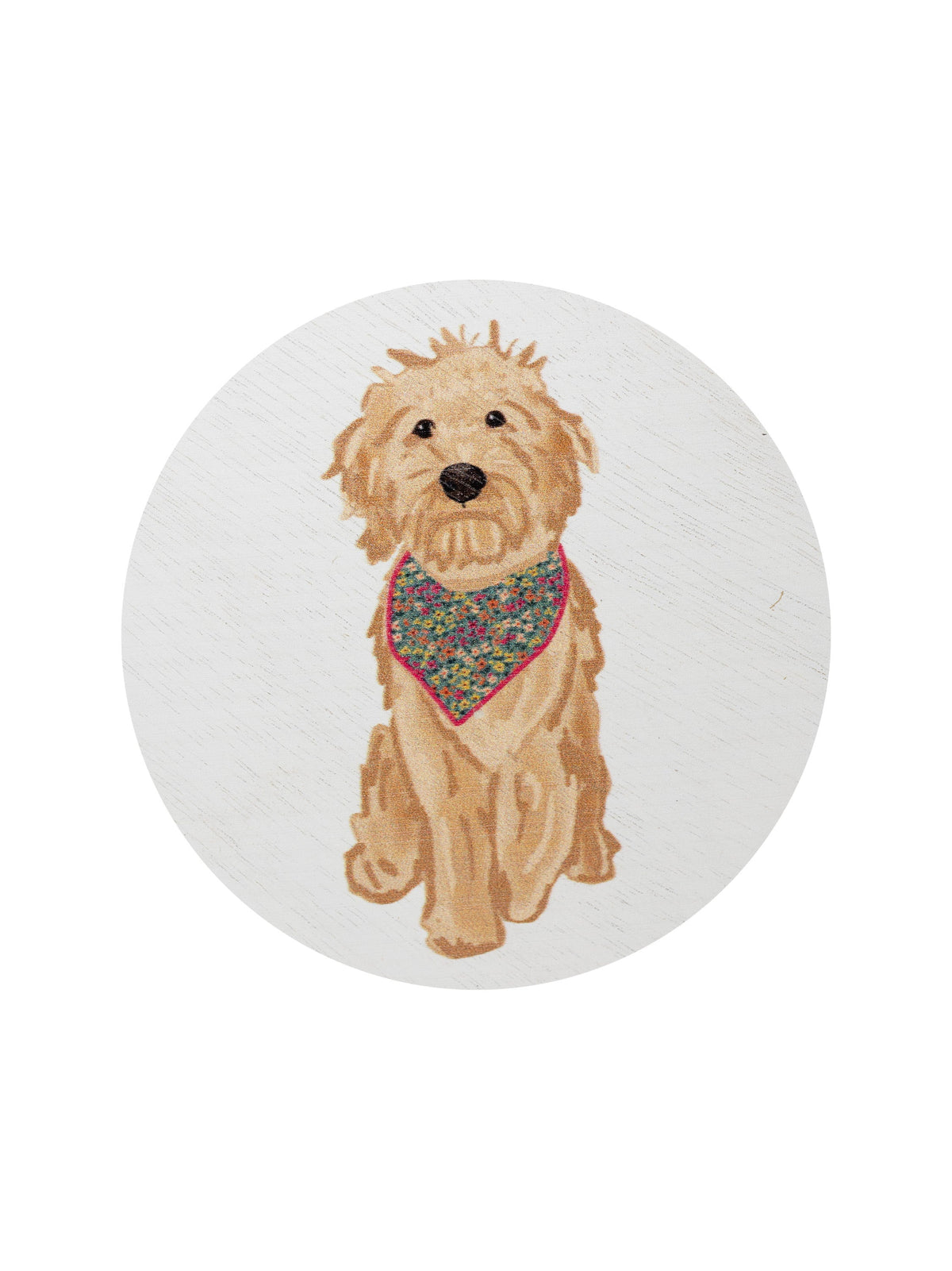 Sand + Paws Laundry Day 12 oz scented candle - Fine Fragrance
