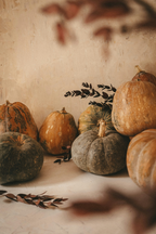 Pumpkin Cr¨¨me 50 ml Perfume Oil Dropper - Fine Fragrance
