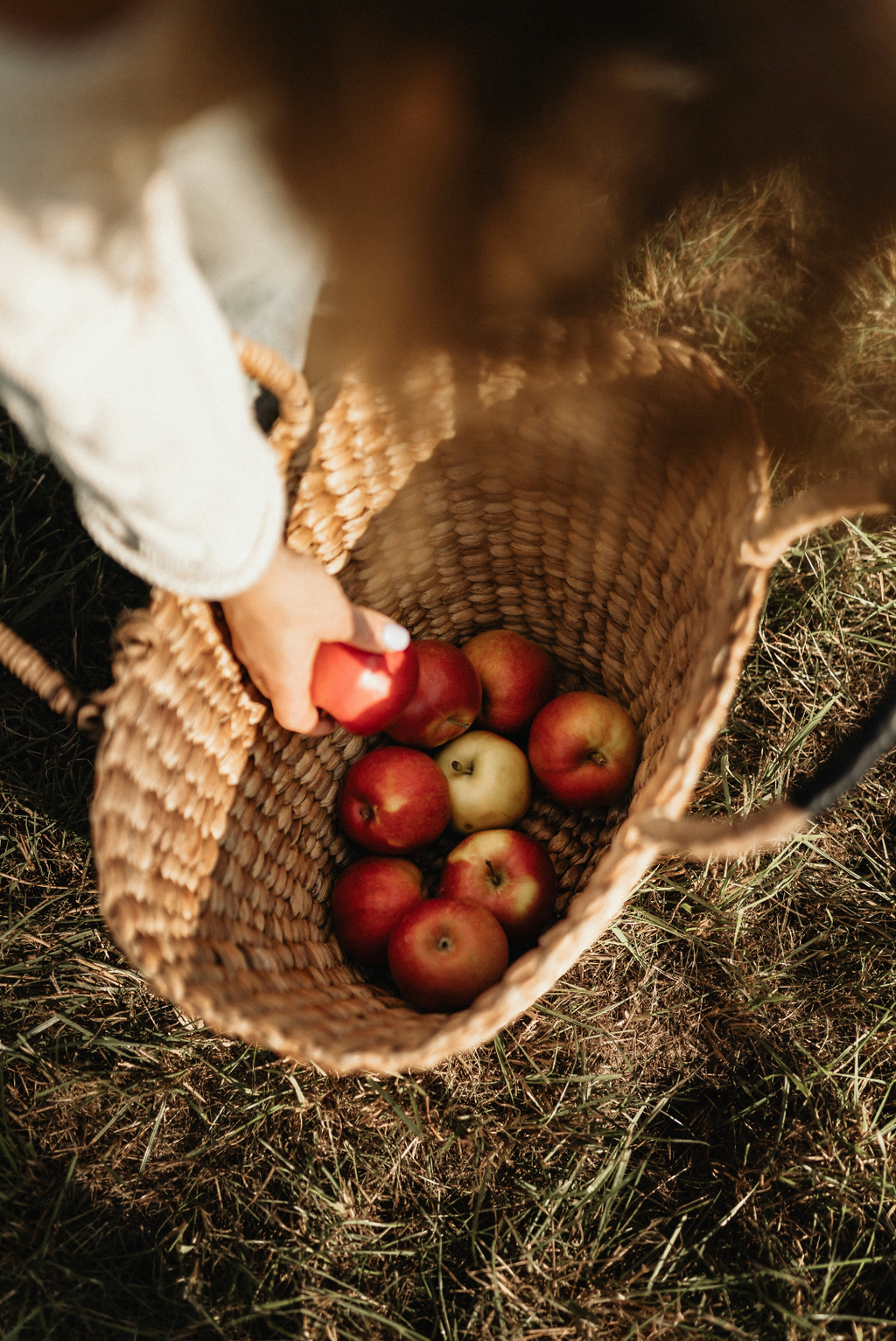 Apple Picking 12 oz scented candle - Home Fragrance