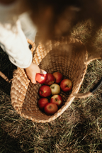 Apple Picking 12 oz scented candle - Home Fragrance