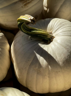 White Pumpkin 100 ml Room Spray - Room Refresh