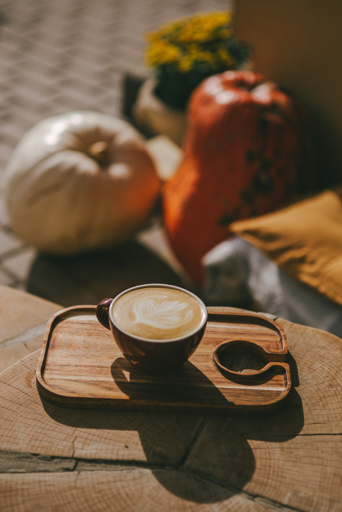 Sand + Paws Pumpkin Soy Latte 12 oz scented candle - Home Fragrance
