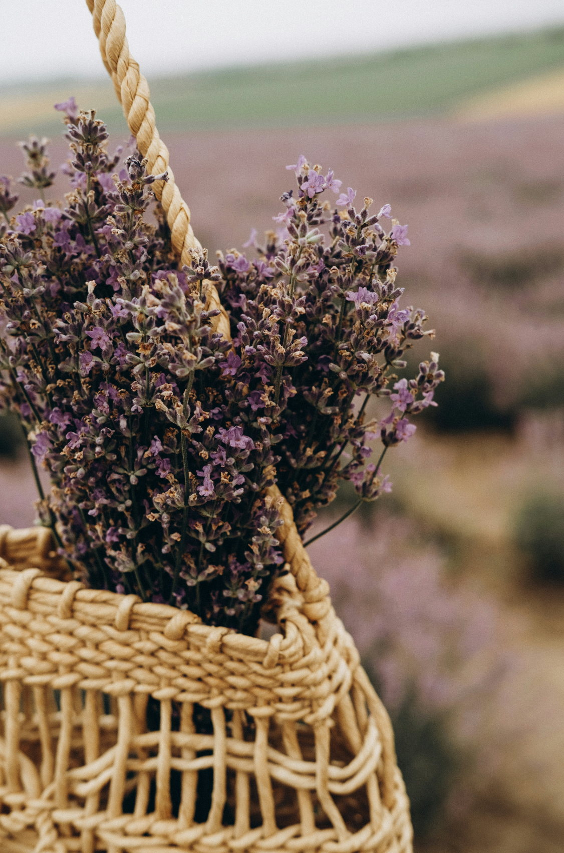 Cedar & Lavender 110 ml Reed Diffuser - Daily Favorite
